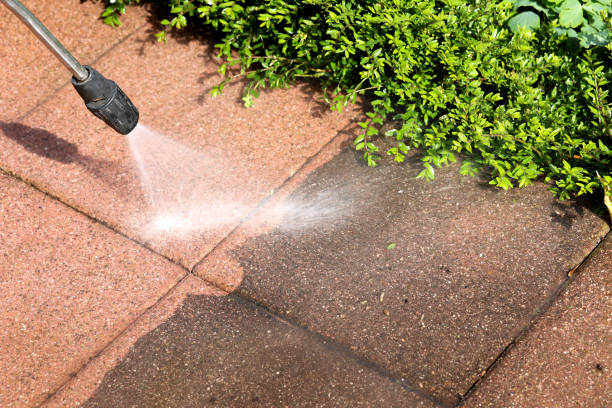 Best Residential Pressure Washing Services  in USA